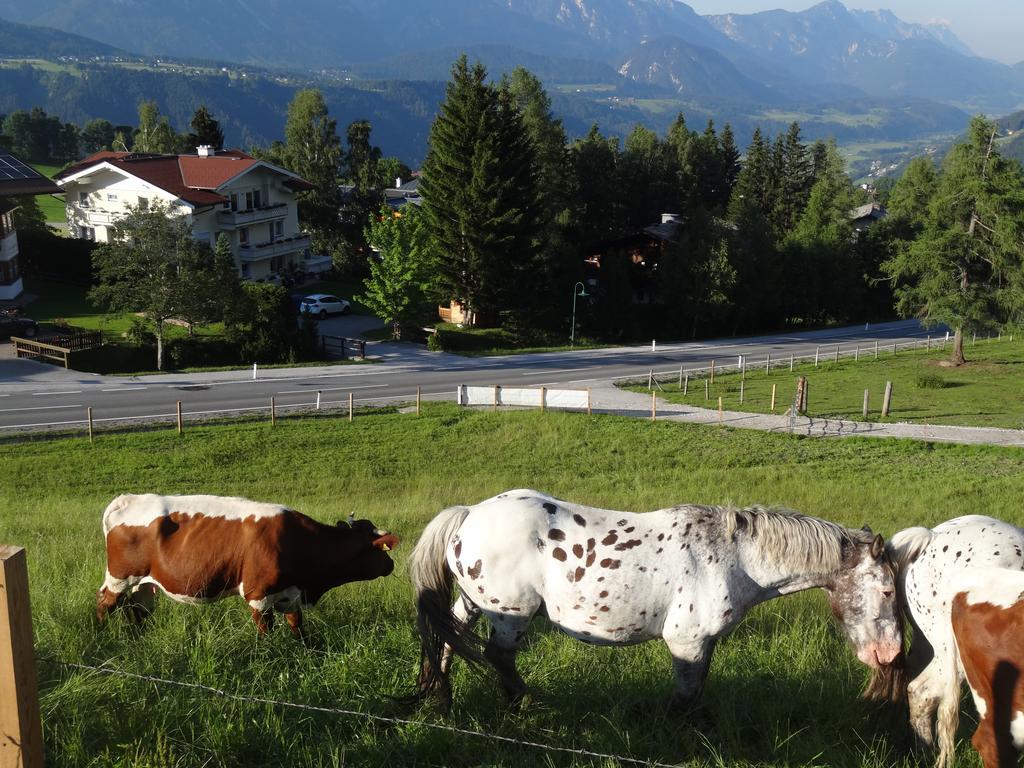 Haus Alpina Ski In & Ski Out Schladming Zewnętrze zdjęcie