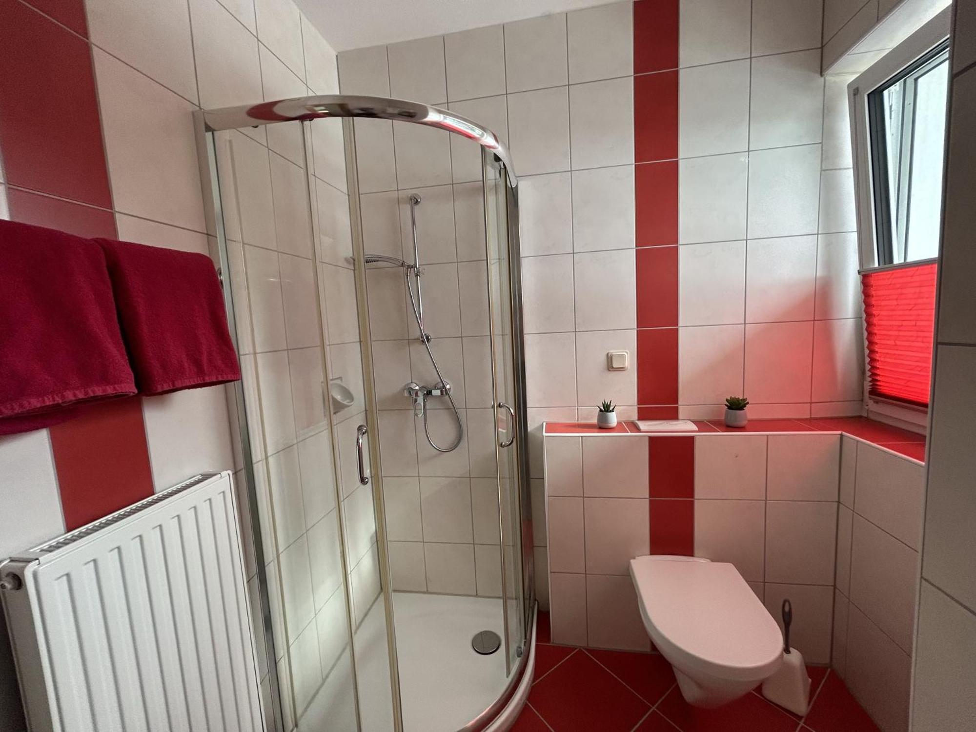 Haus Alpina Ski In & Ski Out Schladming Zewnętrze zdjęcie