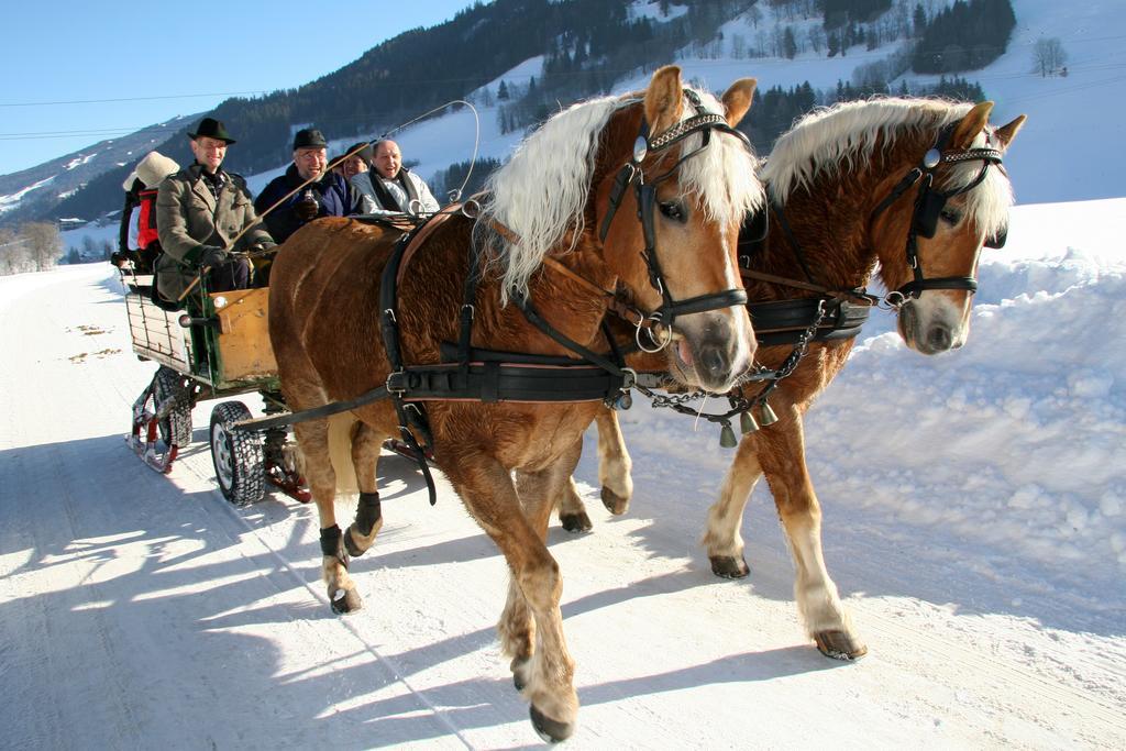 Haus Alpina Ski In & Ski Out Schladming Zewnętrze zdjęcie