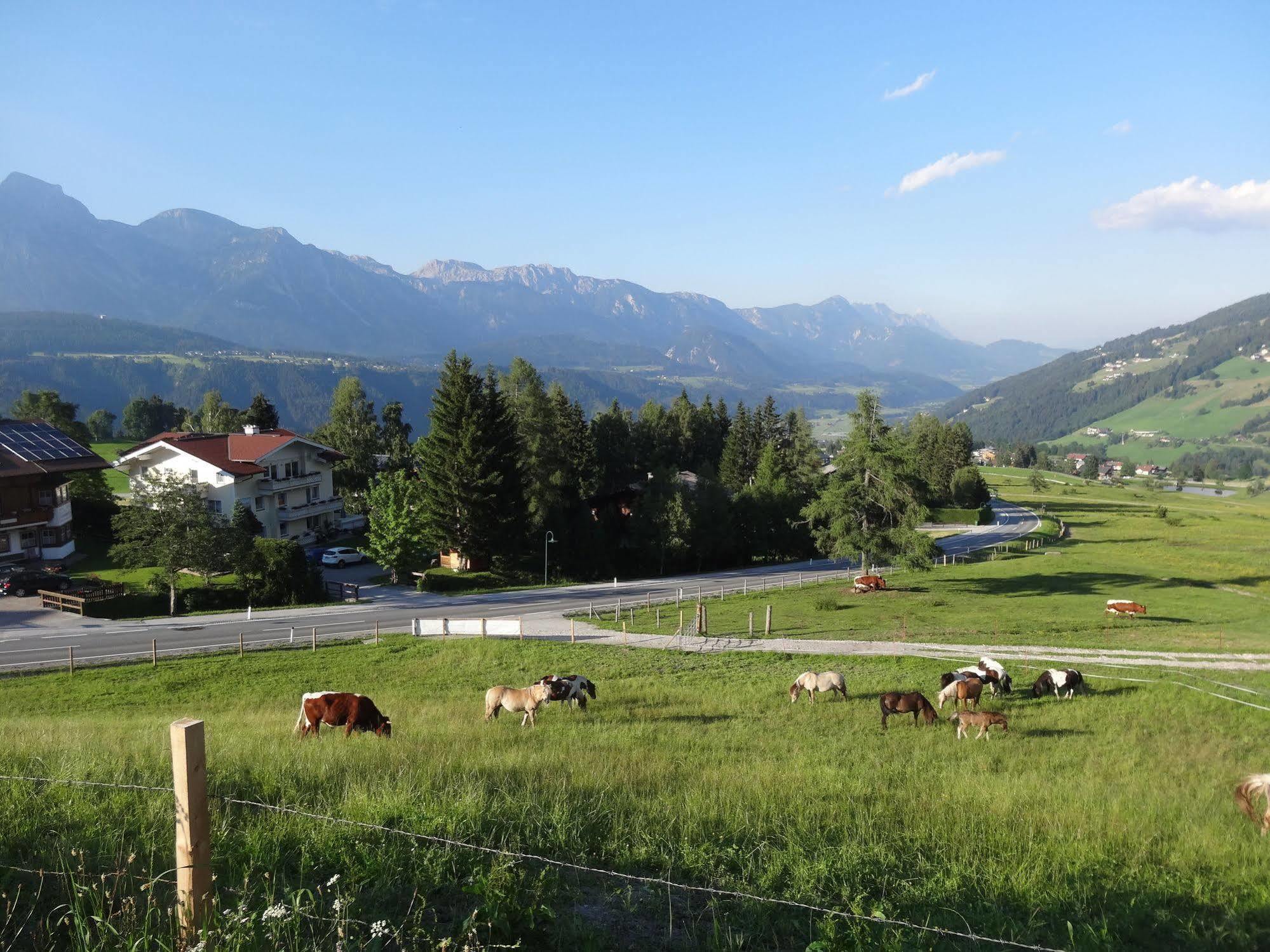 Haus Alpina Ski In & Ski Out Schladming Zewnętrze zdjęcie
