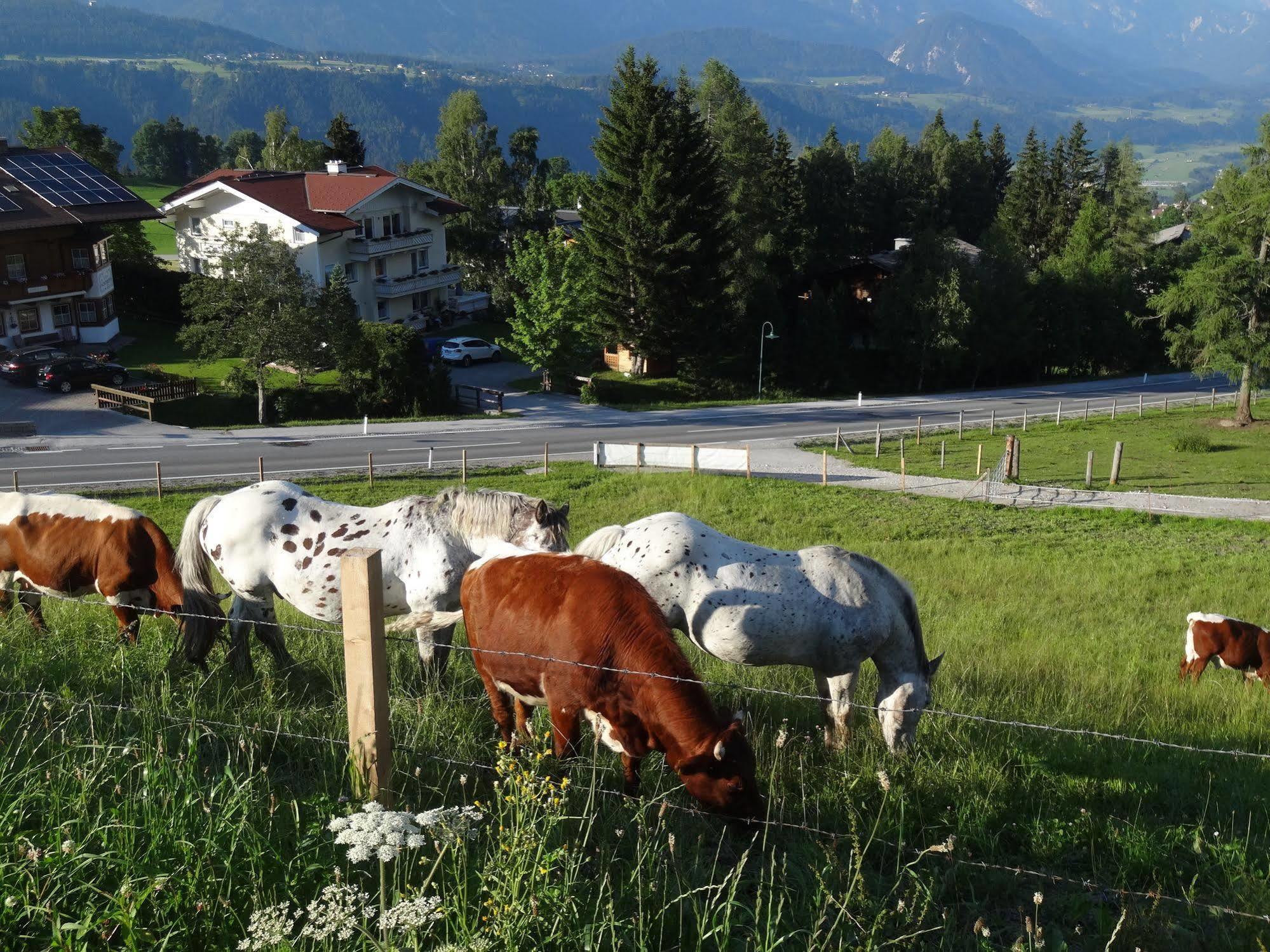Haus Alpina Ski In & Ski Out Schladming Zewnętrze zdjęcie